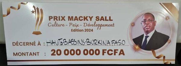 12ème édition du FESNAC : le Conseil régional des hauts bassins au ...